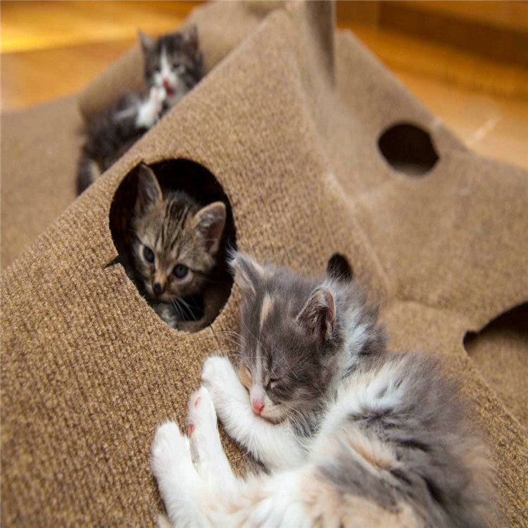 Areia Higiênica para Gatos