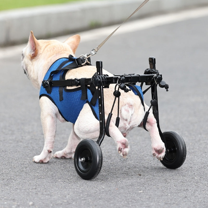 Cadeira de Rodas para Pets Carrinho de Locomoção para Cães com Deficiência